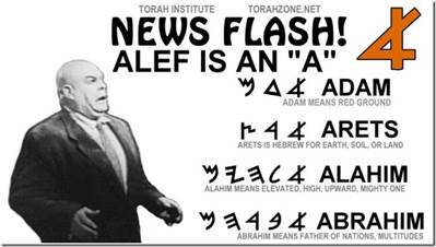 ALEF is A